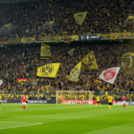 Borussia Dortmund v Mainz