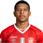 V. Lopes da Silva