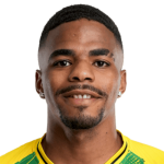 P. Pereira dos Santos
