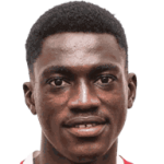 N. Djiga