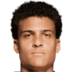 V. Borges dos Santos Neto