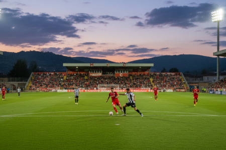Mirandés VS Castellón