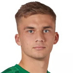 Artem Cheliadin