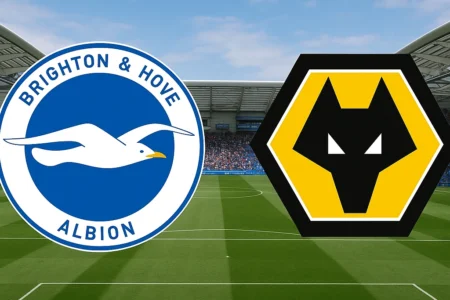 Brighton & Hove Albion VS Wolverhampton Wanderers