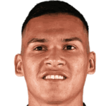 Marcelo Andrés Herrera Mansilla