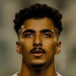 H. Abdelmaguid