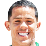 Wallisson Luiz Alves Maximo